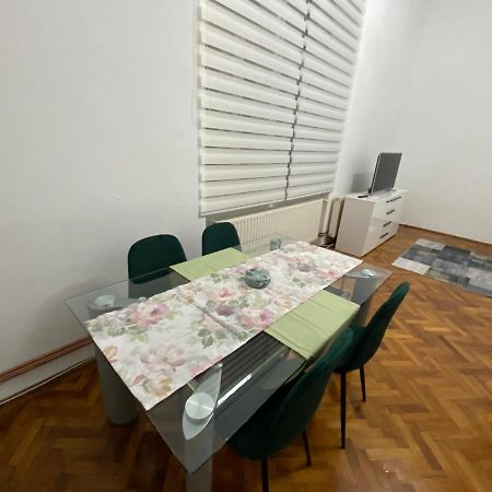 Apartament Apartament Super Central Cu Parcare Privata Arad Zewnętrze zdjęcie